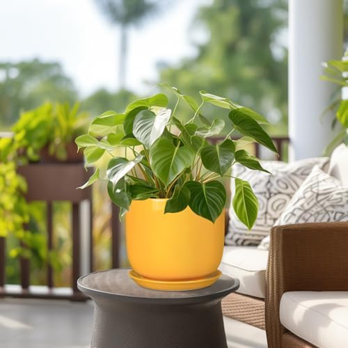 Ceramic Plant Pot 8 Inch - Decorative Modern Round Indoor Planter for Plants Flowers with Drainage Hole and Saucer, House Desk Office Home Decor, Yellow - Image 4