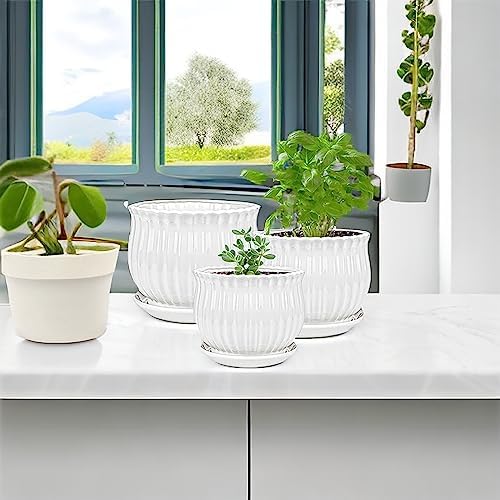 Yesland 3 Pack Ceramic Planter Pots, 3.9"/5.3"/6.7" Modern Round Flower Pots with Drainage Holes & Saucers, Small Indoor Planters for Succulent Cactus, Home Decor Gift - Image 6