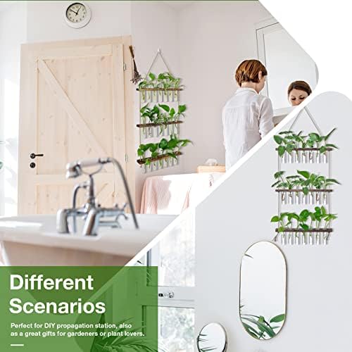 XXXFLOWER Wall Hanging Propagation Station with Wooden Stand - Image 6
