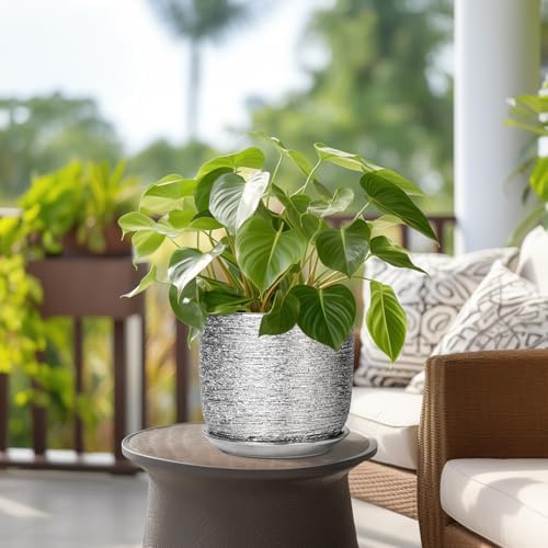 Ceramic Pot for Plants 8 Inch - Ceramic Flower Pot Indoor with Drainage Hole and Saucer, Decorative Round Indoor Planter, Plant Lover Gifts, Patio Home Office House Decor, Silver - Image 4