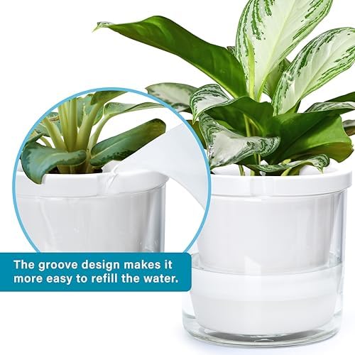 D'vine Dev Self-Watering White Terracotta Planter Pot, 10 in, 37-X-D-2 - Image 6