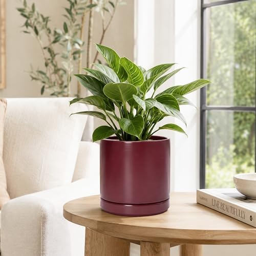 D'vine Dev 8 Inch Ceramic Planter Pot, Cordovan, 94-O-D-4 - Image 2