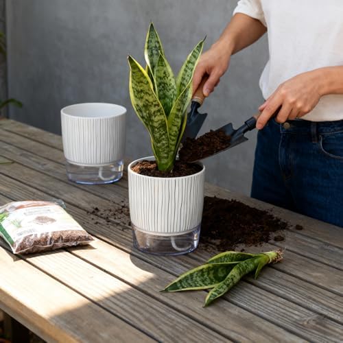 3 Pack Self Watering Pots for Indoor Plants, 5.5 Inch Plant Pots - Image 5