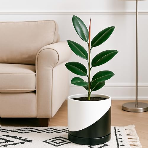 D'vine Dev 10 Inch Ceramic Planter Pot, Black White Diagonal, 94-O-E-K - Image 5
