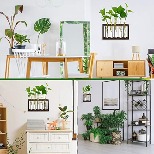 XXXFLOWER 5Test Tube Plant Propagation Station Plant Terrarium Wooden Stand - Image 5