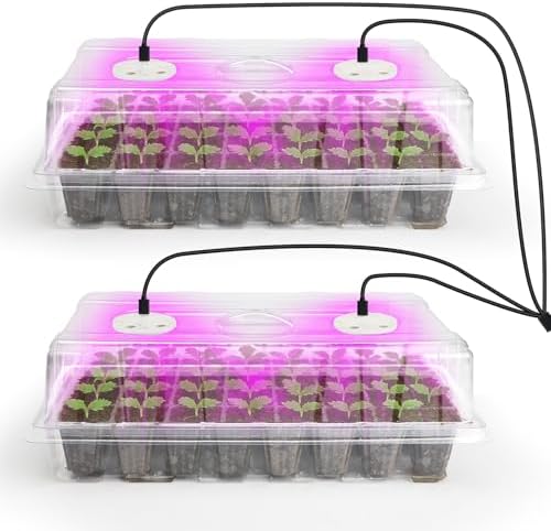 Bonviee Seed Starter Trays with Grow Lights, 80 Cells, 2 Pack by BonvieeDirect