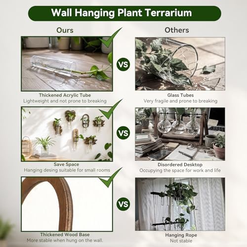 Artilady Plant Propagation Station Wall Hanging, Planter Terrariums Tube - Image 3