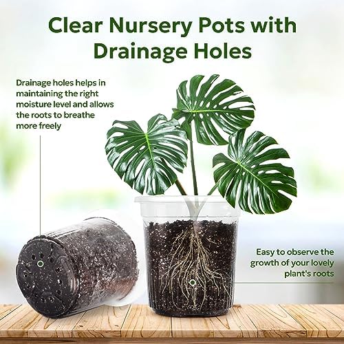 Bluepro Clear Nursery Pots with Drainage Holes, 7 Inch, 1 Gallon, 30-Pack - Image 3