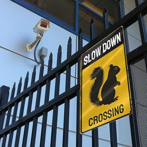 Metal Sign Squirrel Slow Down Crossing Sign Aluminum Metal Tin Signs Warning Sign For Fence Outdoor Yard Wall Decor 8x12 Inch - Image 5