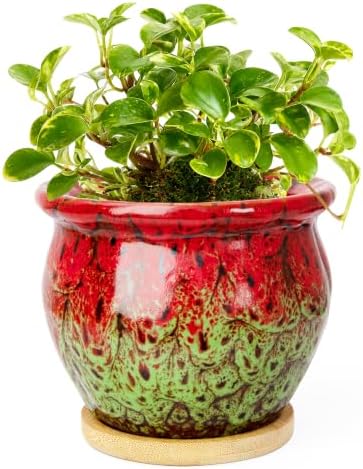 4.5 Inch Plant Pots with Drainage, Small Ceramic Pots for Indoor Plants by ARTKETTY