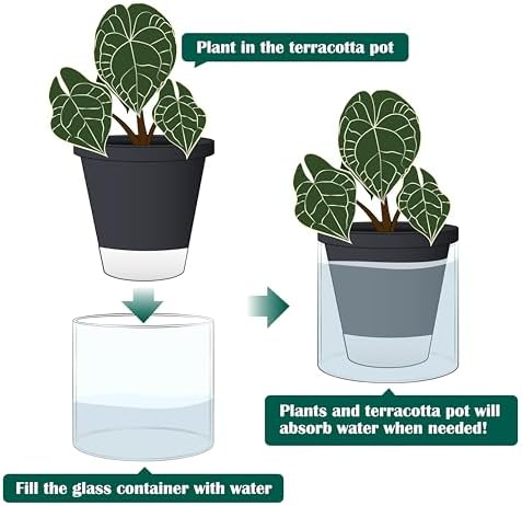 D'vine Dev Self-Watering Black Terracotta Planter Pot, 6 in, 37-X-B-3 - Image 5
