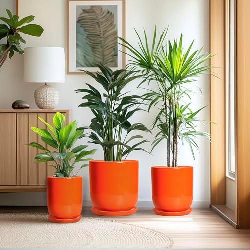 Ceramic Planter - 8 Inch Plant Pot with Drainage Hole and Saucer, Cylinder Round Modern Flower Pot for Indoor Outdoor Plants, Plant Lover Gifts, Garden Office Home Decor, Orange - Image 7