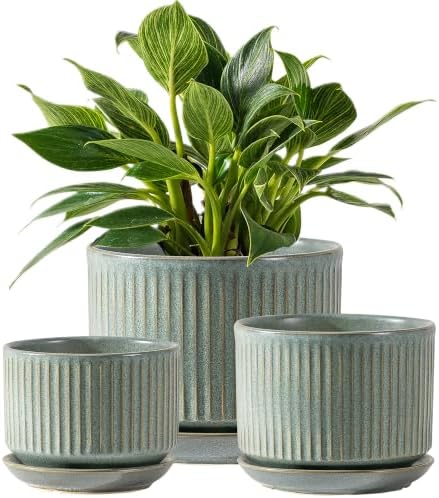 SURE YUESI Ceramic Plant Pots Set of 3, Indoor Outdoor Planters with Drainage Hole and Saucer, Ceramic Flower Pots for Indoor Plants, 4.3+5.5+6.8 Inch, Home, Garden, Patio and Office, Matte Green by SUREYUESI