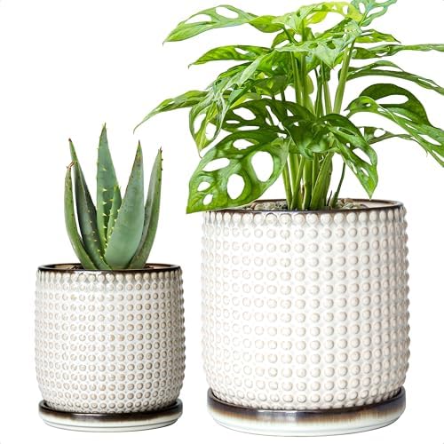 D'vine Dev Beaded Ceramic Planter Pots, 4/6 in, Smoked White, 27-D-U-1 by DvineDevPlanterPotsandStand