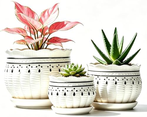 Vintage Flower Pots for Indoor Plant, Round Ceramic Plant Pots with Drainage Holes and Saucers, 6.7/5.2/3.9 Inches Retro Flower Planters Set of 3 by FOLKLORE13