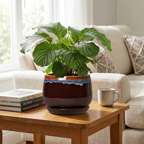 9 Inch Flower Pots - Ceramic Planter with Drainage Hole and Saucer, Decorative Ceramic Pots for Indoor Plants, Round Plant Pot, Garden Home Living Room Decor, Housewarming Gifts, Brown-Blue - Image 5