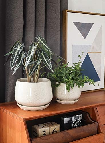 LE TAUCI Plant Pots, 4.1+5.1+6.5 inch, Set of 3, Ceramic Planters with Drainage Hole and Saucer, Indoor Flower Pot with Hole Mesh Pad, Gifts for Mom, Reactive Glaze Beige - Image 4