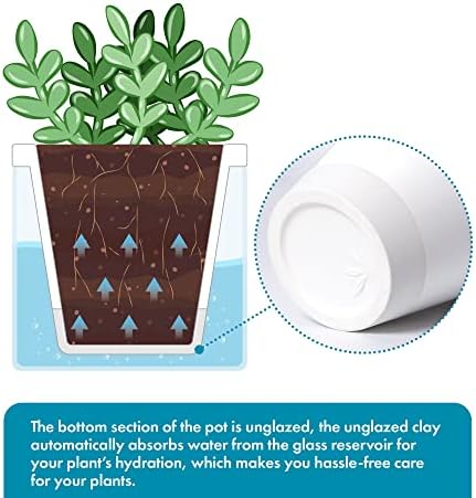 D'vine Dev Self-Watering White Terracotta Planter Pot, 4 in, 37-X-A-2 - Image 4