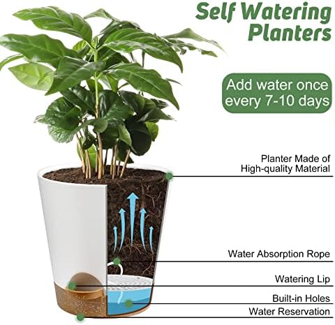 YNNICO Indoor Self Watering Planters with Drainage Holes and Saucers, 8, 7, 6.5, 6, 5.5, 5 Inches, White, 6 Pots (Pack of 2) - Image 5