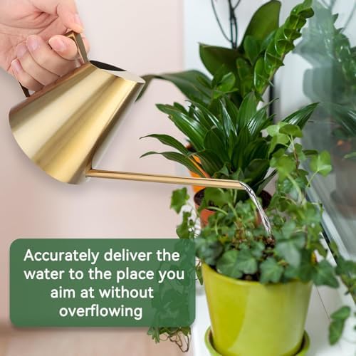 Watering Can for Indoor Plants, 13.5 Oz/400 Ml Indoor Plant Watering Can Stainless Steel Small Water Cans with Long Spout for Plants Succulent Bonsai, 4 X 4.9 Inch - Image 4