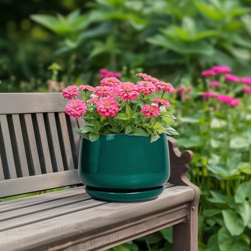 G EPGardening Ceramic Planter for Indoor Plants - 7 Inch Plant Pot, Round Planter with Drainage and Saucer, Round Flower Pots for Outdoor, Modern Desk Decor, Gift for Women Men, Green - Image 4
