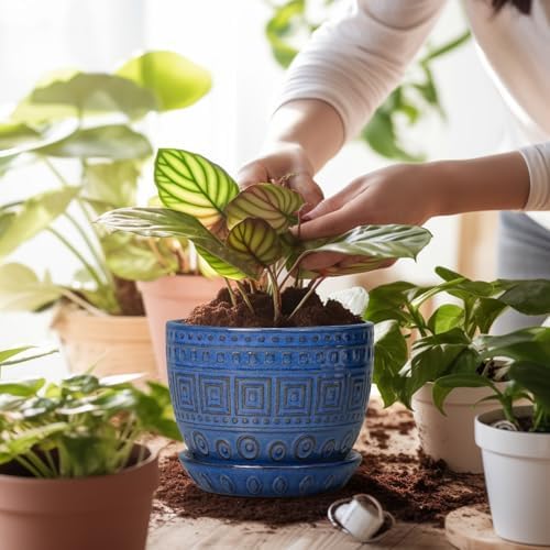 G EPGardening Plant Pots Indoor 5 Inch - Ceramic Pot for Plants with Drainage Hole and Saucer Round Planter Outdoor Modern Flower Pot Home Office Decor Blue - Image 4