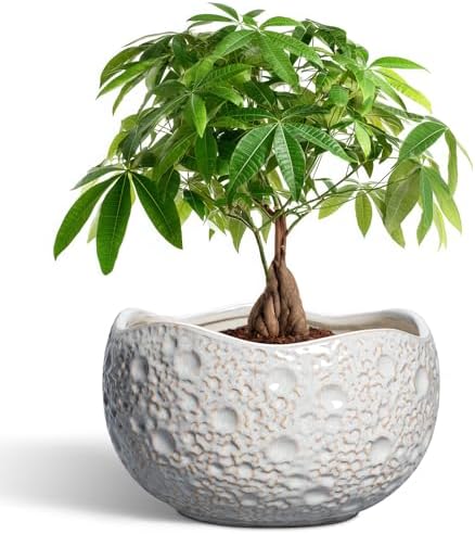 10 Inch Planter, Ceramic Pots for Plants with Drainage Hole, Grey by Thirtypot