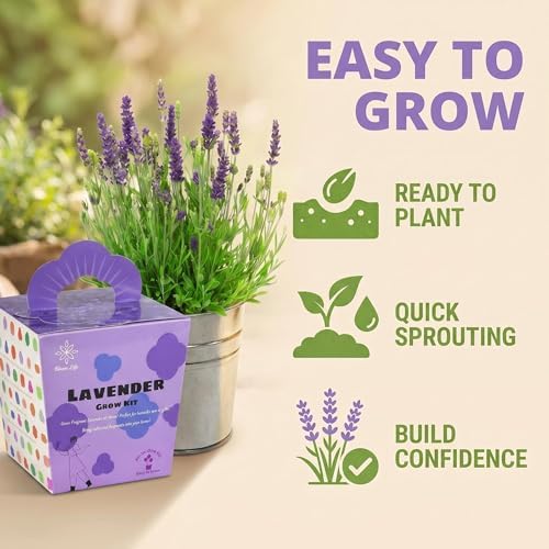 Lavender Grow Kit, All-in-One Indoor Flower Garden Starter Kit with Conical Metal Planter, Complete Growing Set for Gardening Enthusiasts, Windowsill Home Gardening - Image 5
