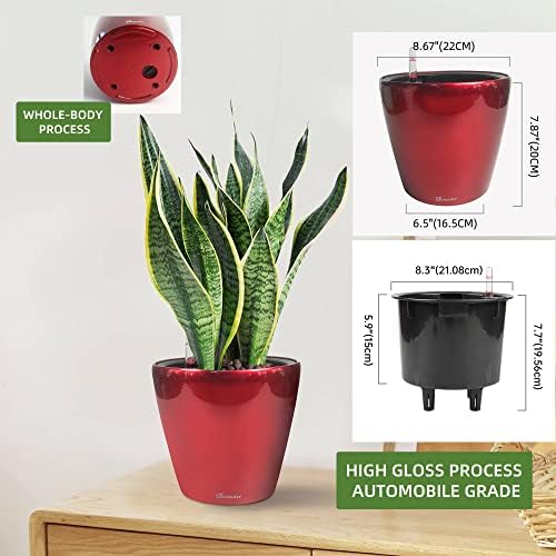 Dexceder 9x8 Self Watering Planter (Red High Gloss) - Image 3