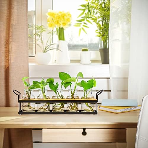 Plant Propagation Station with 5 Glass Jars, Retro Hydroponic Planter Vase - Image 5