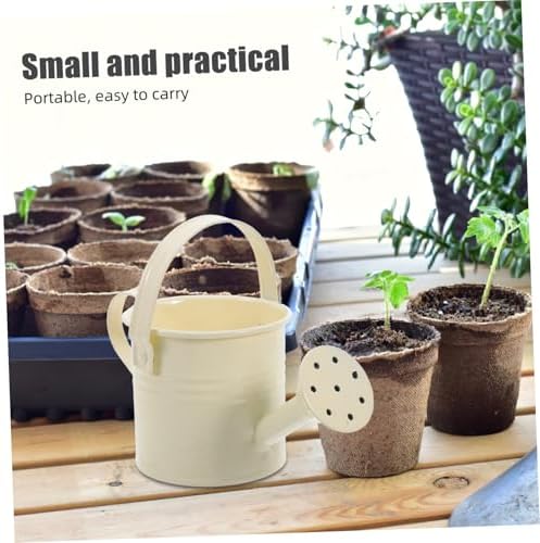 Sosoport Cute Watering Can for Indoor Plants Mini Indoor Flower Pot with Handle Small Watering Can Set Perfect for Home Decor - Image 6