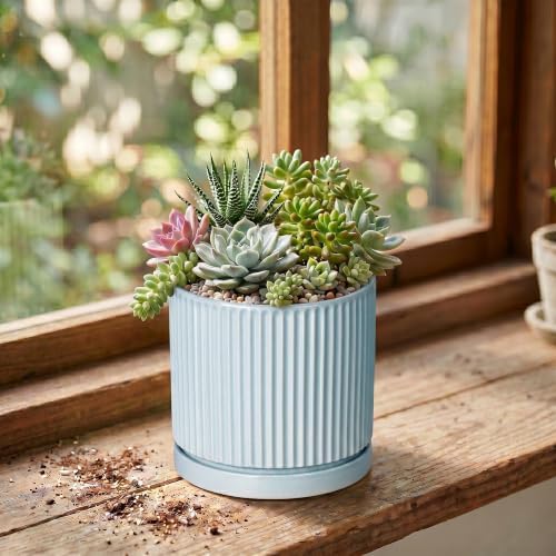 4 Inch Plant Pots, Ceramic Pots for Plants with Saucer, Light Blue - Image 3