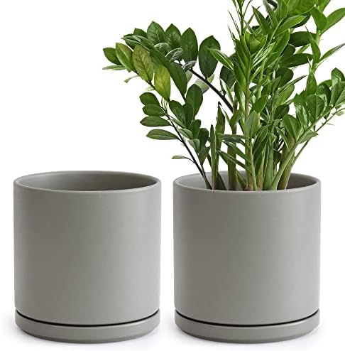 D'vine Dev 2-Pack Ceramic Pots with Saucers, Grey, 8 in, 94-V-D-3 by DvineDevPlanterPotsandStand