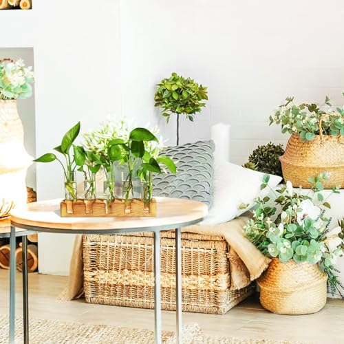 Renmxj Plant Propagation Station, Plant Terrarium with Wooden Stand - Image 4