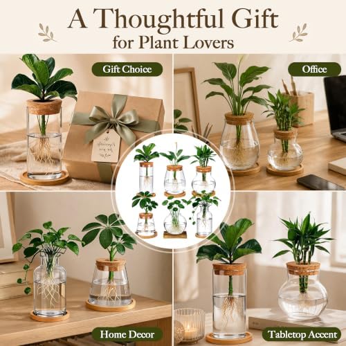 6 Pcs Plant Propagation Station Set, Glass Propagation Vases for Plants with Wooden Lids & Bamboo Stands, Hydroponic Vase Jars for Plant Cuttings, Terrarium Planters for Desk, Home Office Decor - Image 7