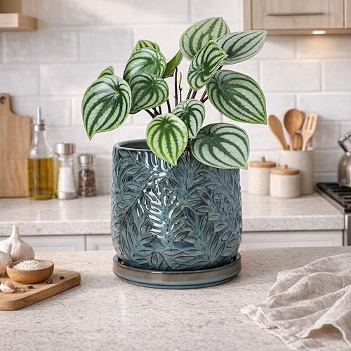 D'vine Dev Embossed Leaves Ceramic Planter, 6 in, Ocean Teal, 27-A-X-8 - Image 5