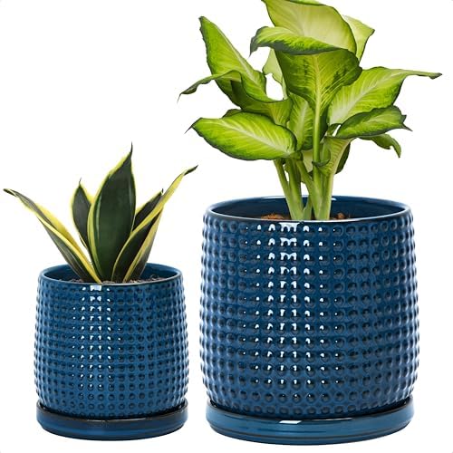 D'vine Dev Beaded Ceramic Planter Pots, 4/6 in, Midnight Blue, 27-D-U-3 by DvineDevPlanterPotsandStand