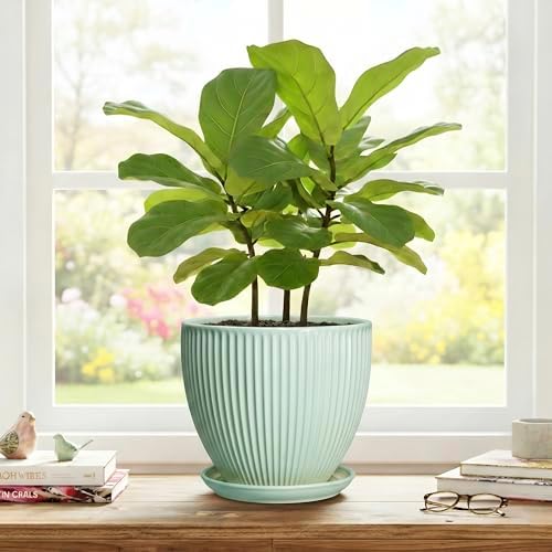 Ceramic Plant Pot, 8 Inch Flower Pots with Saucer, Mint Green - Image 7
