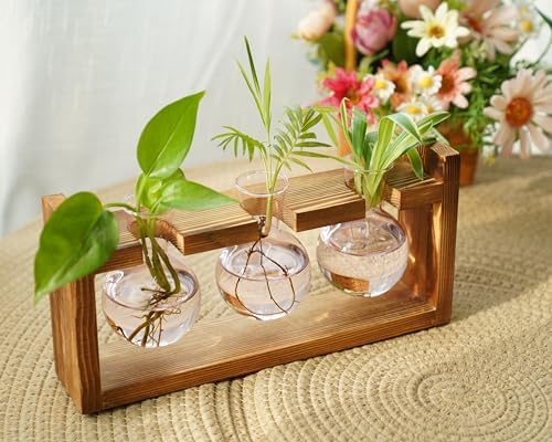 Kingbuy Glass Plant Terrarium Propagation Station, 3 Bulb, Pink - Image 3