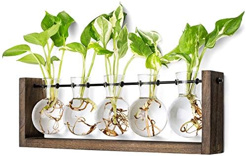 Mkono Plant Propagation Station Hanging Desktop Wooden Stand 5 Vases Holder by Mkono