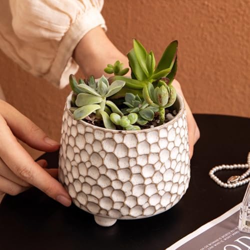 Rustic 4inch ceramic planter pot for succulent cactus and Indoor Plant - Image 4