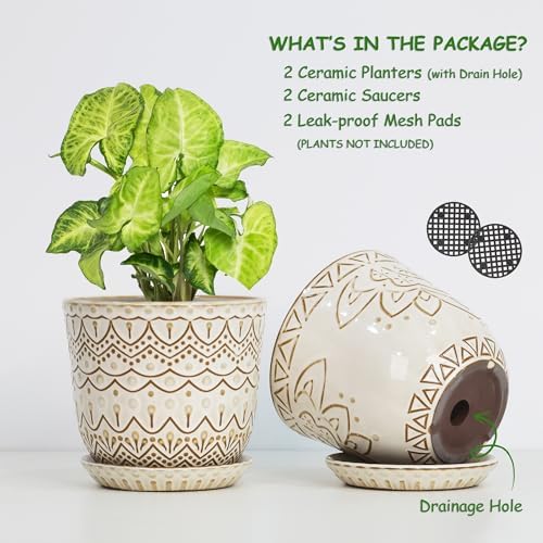 Gepege Ceramic Plant Pots, 6 Inch Indoor Planters with Drainage & Saucers - Image 3