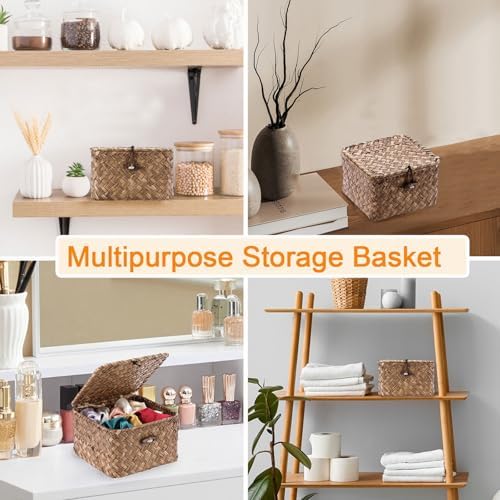 Hipiwe Seagrass Basket Bin with Lid X-Small Handwoven Wicker Storage Basket - Image 6