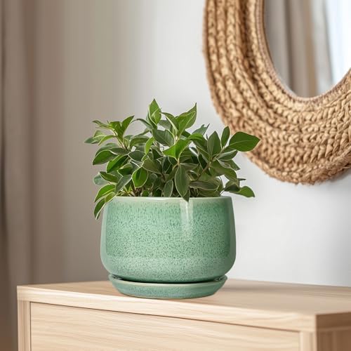 G EPGardening Ceramic Planter, 9 Inch Plant Pot, Green - Image 5