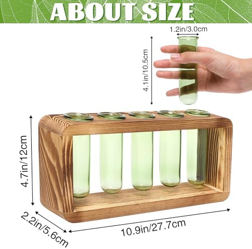 Glass Plant Propagation Station with 5 Test Tubes Colorful Planter Vase - Image 2