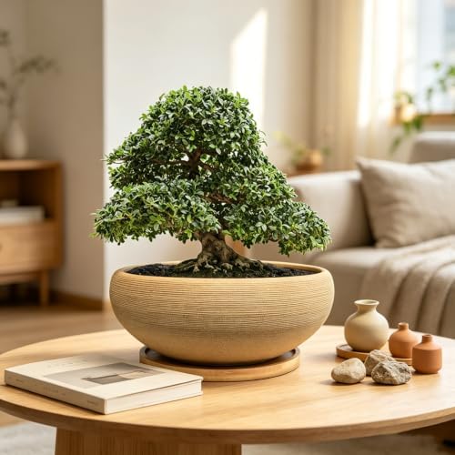 MUZHI 8 inch Round Unglazed Ceramic Bonsai Pot with Bamboo Tray, Shallow Plain Pottery Succulent Planter with Drainage Hole (8”) - Image 6