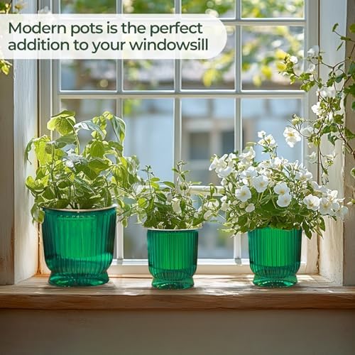 T4U Self Watering Pots for Indoor Plants 6 Inch 4 Pack Planter Green - Image 7