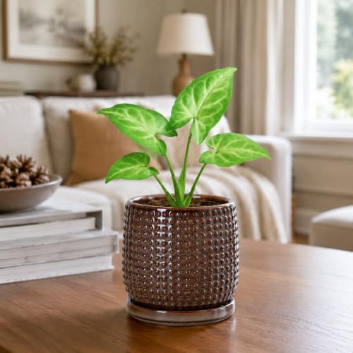 D'vine Dev Beaded Ceramic Pot with Saucer, 4 in, Stone Taupe, 27-C-Z-L - Image 5