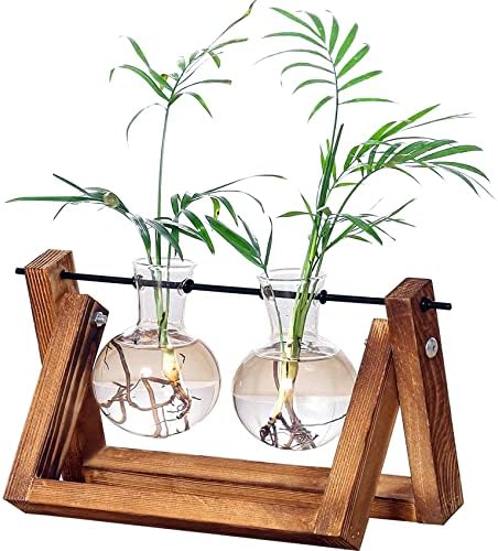 Kingbuy Glass Desktop Planter with Retro Wooden Stand, 2 Bulbs by Kingbuy