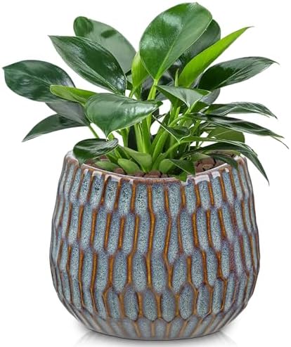 Oairse Small Ceramic Pots for Plants, 4.9 inch Blue Plant Pot Indoor with Drainage Ceramic Planters for Indoor Plants Succulent Planters Decorative Flower Pots for Cactus, Snake Plant, Herb by Oairse